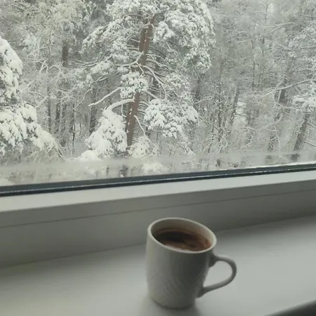 Toplina Doma Apartman Divčibare