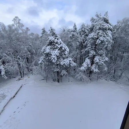 Apartment Toplina Doma *