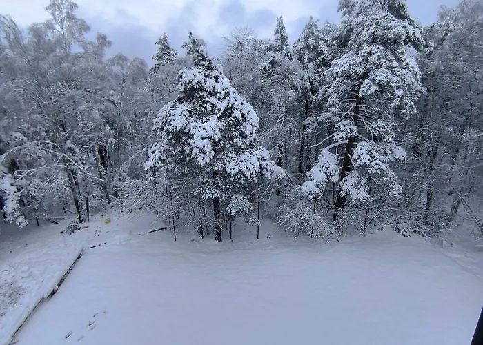 Apartment Toplina Doma *